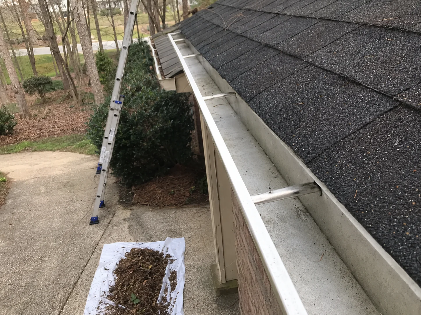 Cary Park — Spring Cleaning